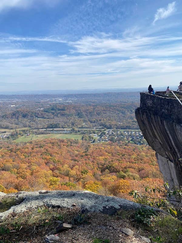 Eagle lookout - Image 1