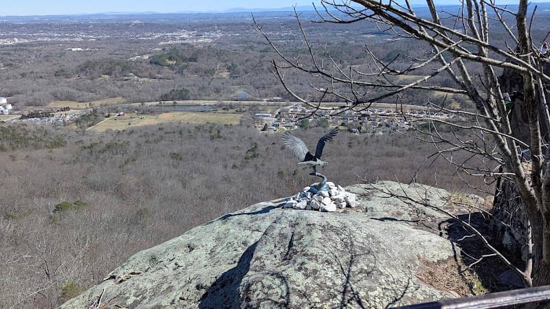 Eagle lookout - Image 3
