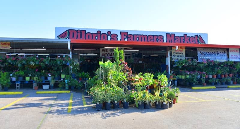 DiIorio Farms Partnership/Farmers Market - Image 1