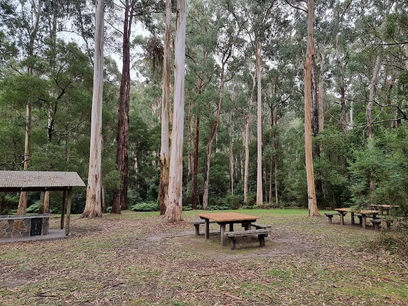 Sheoak Picnic Area - Image 1