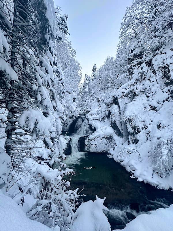 Naturrodelbahn Kreuth-Klamm - Image 1
