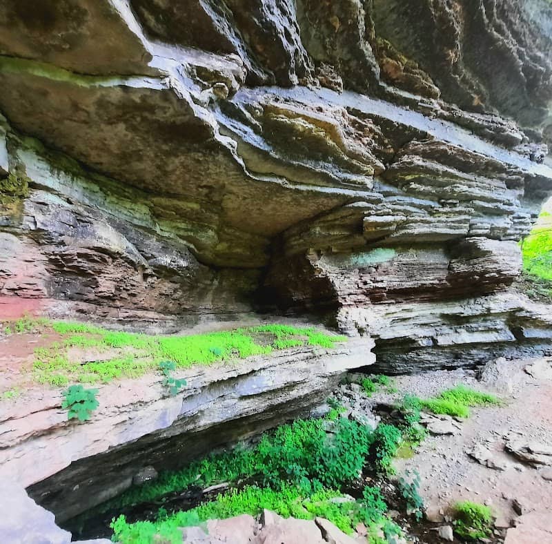 Johnson Spring - Image 1