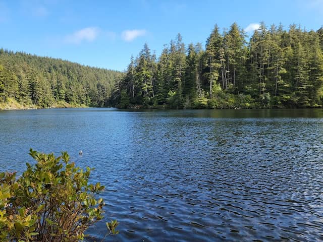 Umpqua Lighthouse State Park - Image 3