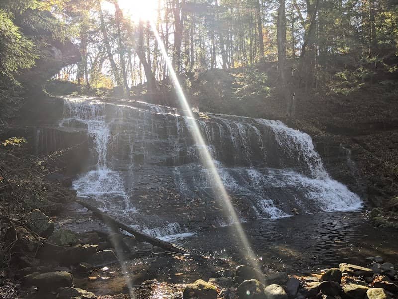 Springfield Falls - Image 1