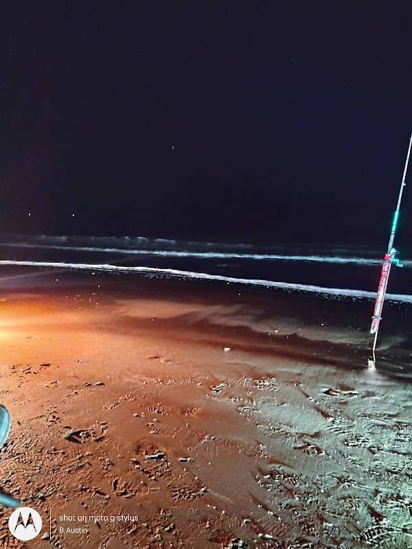 Alachua Ave. Beach Access - Image 2