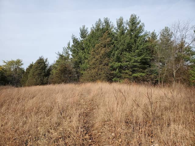 New Munster Wildlife Area - Image 2