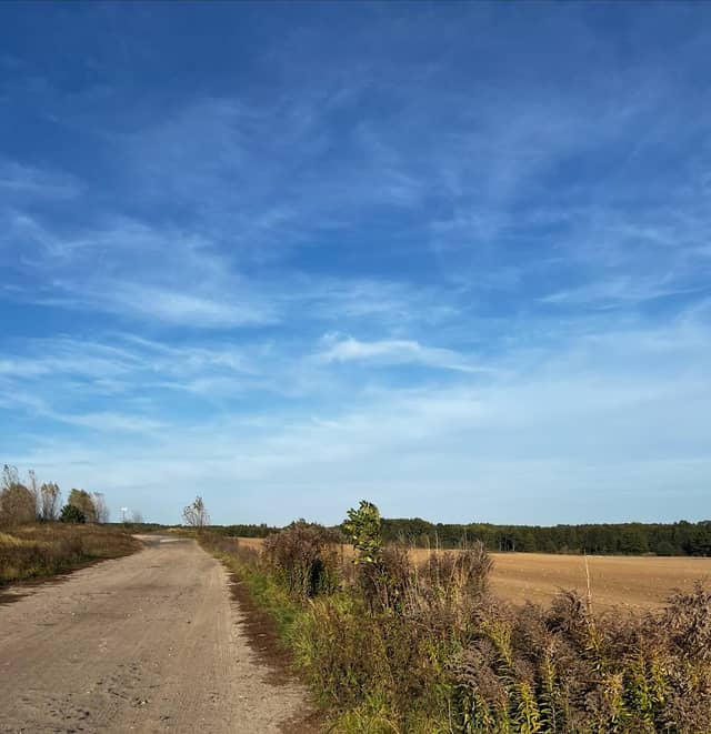 Grabowa las - Image 2