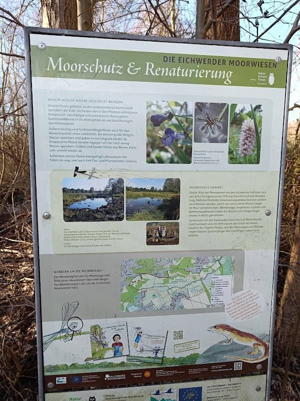 Eichwerder Moorwiesen - Image 2