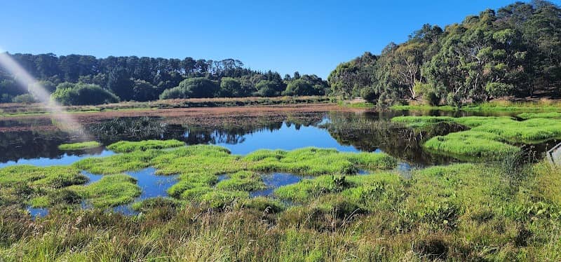 Yuilles Wetlands Lookout - Image 2