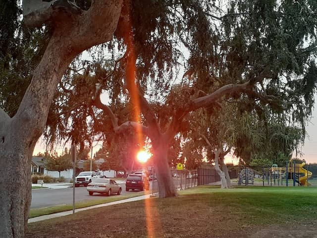 George Gibbs Park - Image 2