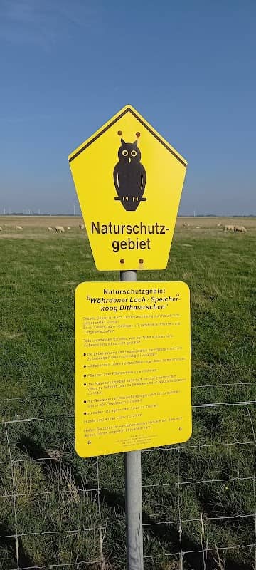 Naturschutzgebiet "Wöhrdener Loch" - Image 1
