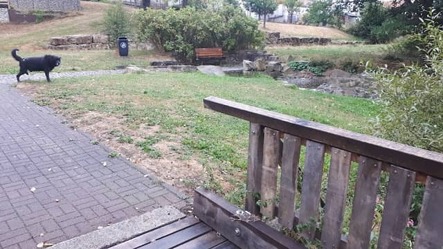 Park am Bach - Image 2