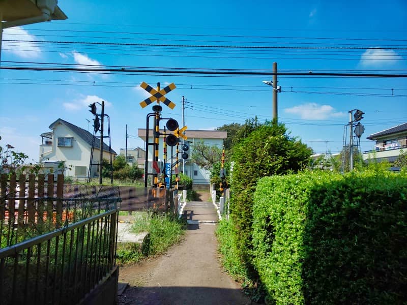 たから道 - Image 2