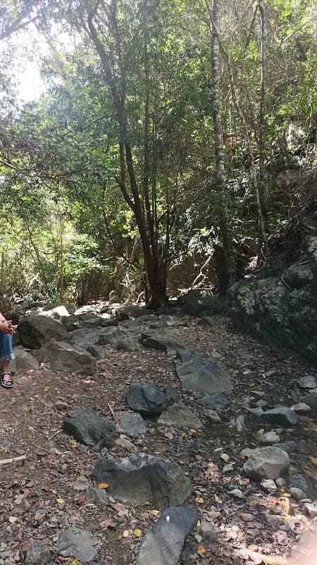 Water Falls - Airlie Creek Track - Image 1