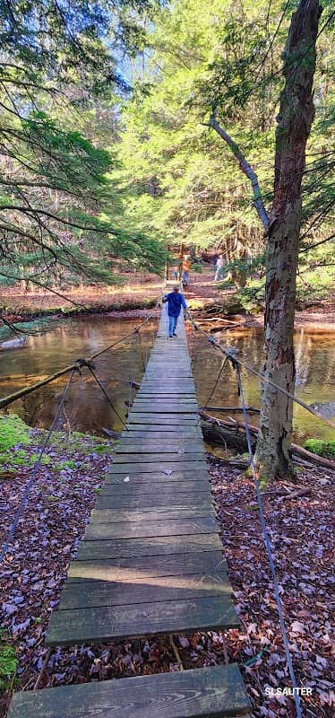 Gallitzin State Forest - Image 1