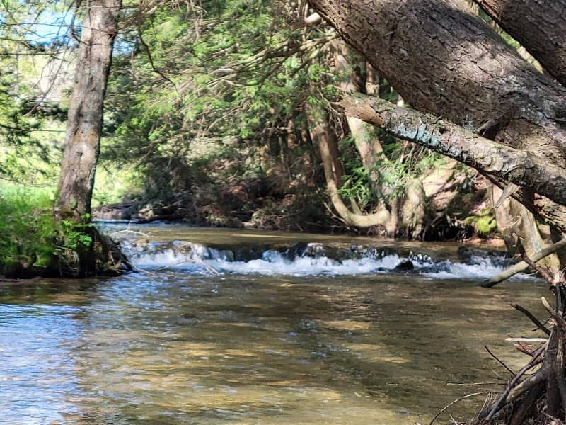 Gallitzin State Forest - Image 2