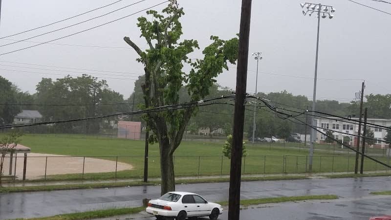 Roberto Clemente Park - Image 3