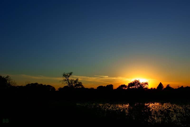 EcoPark - Image 1
