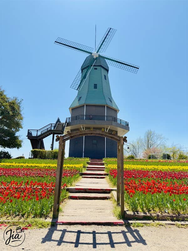 Windmill, Kasumigaura Comprehensive Park - Image 1