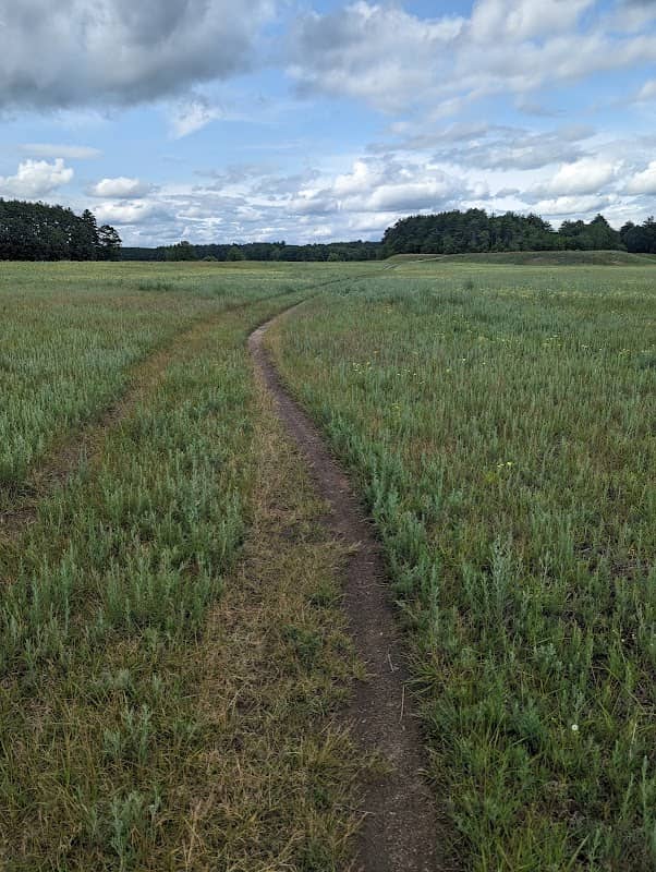 NH Audubon Dahl Wildlife Sanctuary - Image 2