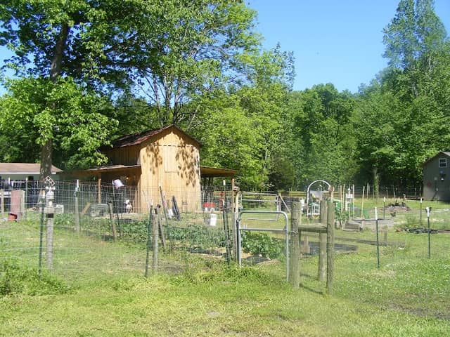 Bone Creek Farms - Image 2