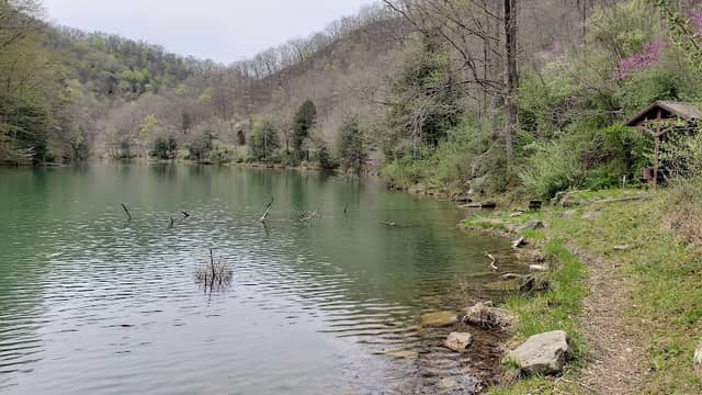 Laurel Lake WMA - Image 1