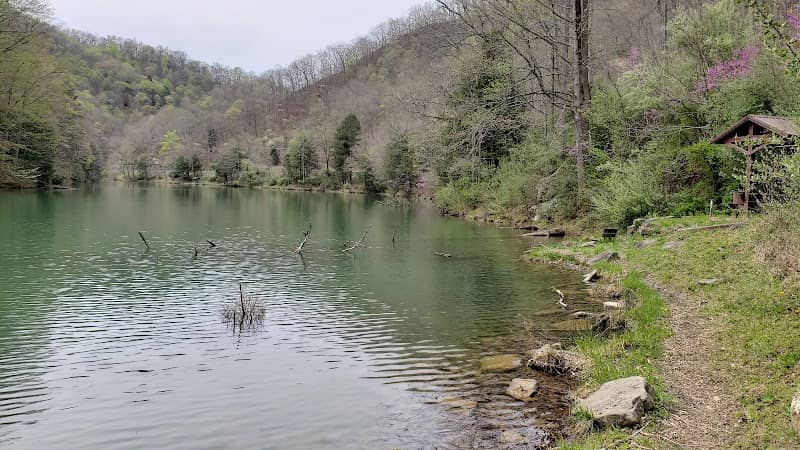 Laurel Lake WMA - Image 1