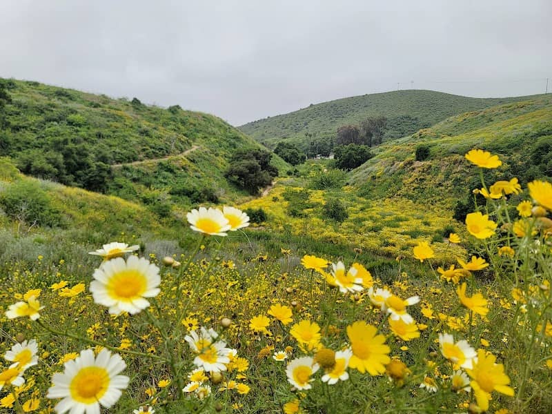 Arroyo Verde Hiking Trails - Image 3