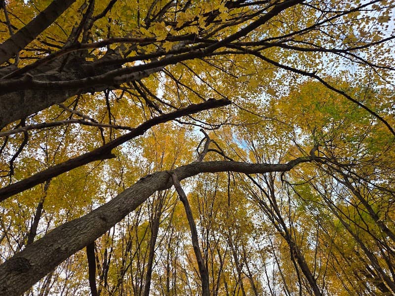 Pearson Mill State Recreation Area - Image 1