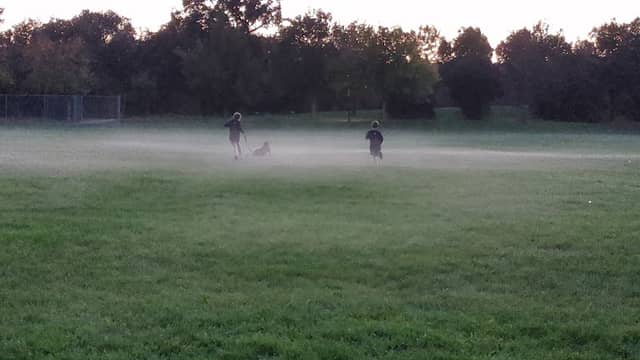 Mace Ranch Park - Image 2