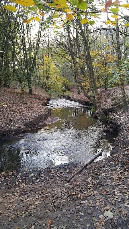 Pennine Edge Wood - Image 1