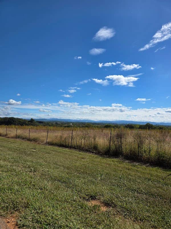 Hunt Field - Image 1