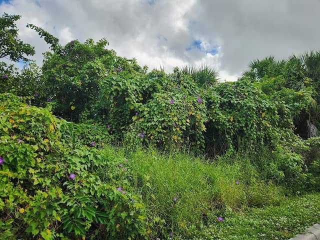 Harbour Heights Park - Image 2