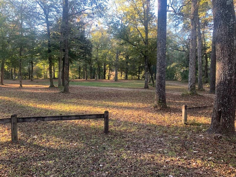 Cypress Creek Landing Recreation Site - Image 1