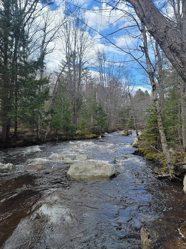 Ducktrap River Preserve - Image 1
