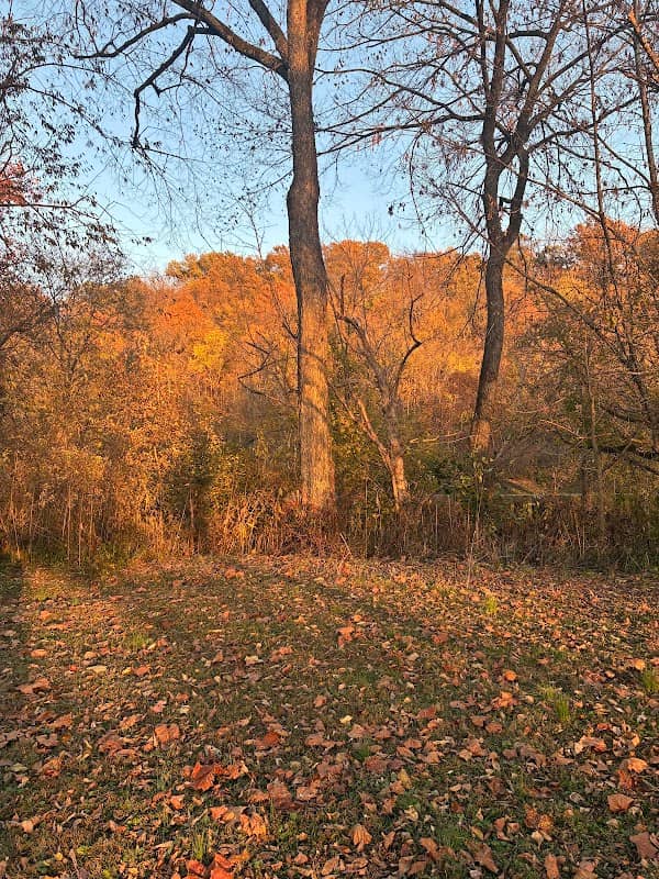 Ray Jewell Memorial Park - Image 2