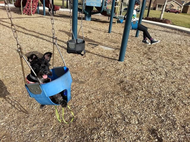 Hayes Park - Image 1