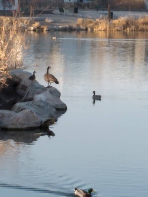 Meadow Creek Village Park - Image 1