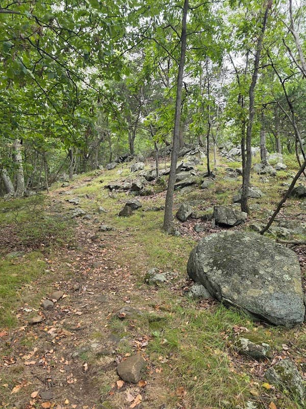 South Mountain County Park - Image 1