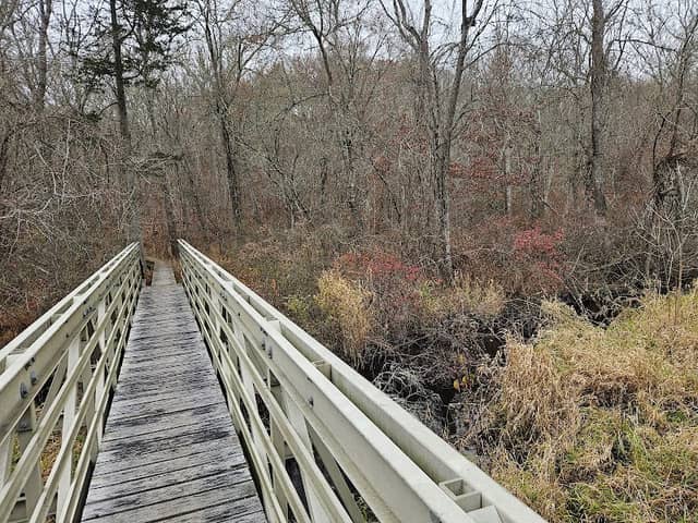 Pawcatuck River - Image 2