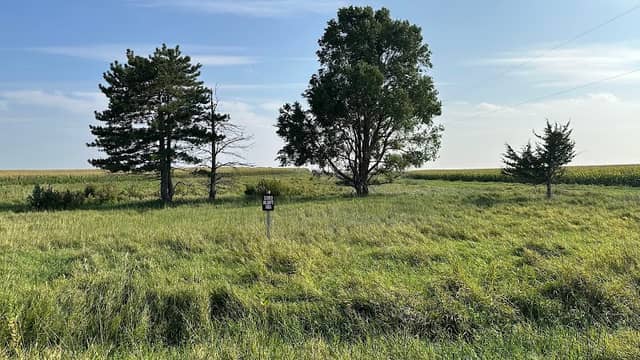 Center Wildlife Area - Image 2