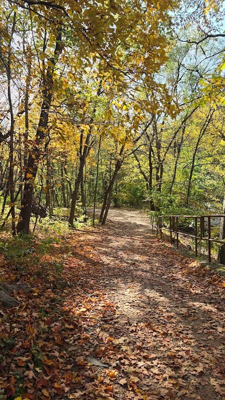 Central Park - Image 2