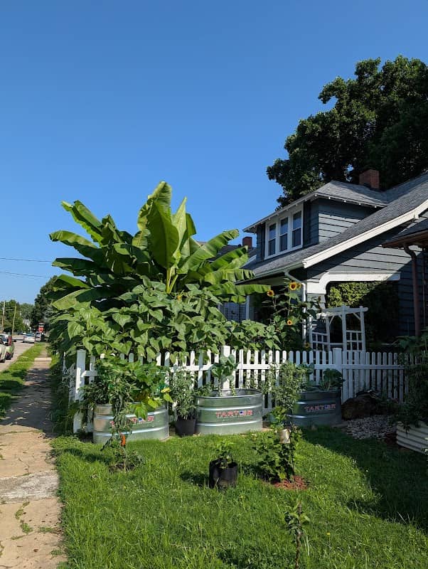 Luna Park Historic District - Image 2