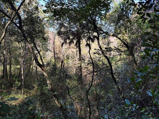 Horseshoe Point Conservation Area - Image 2