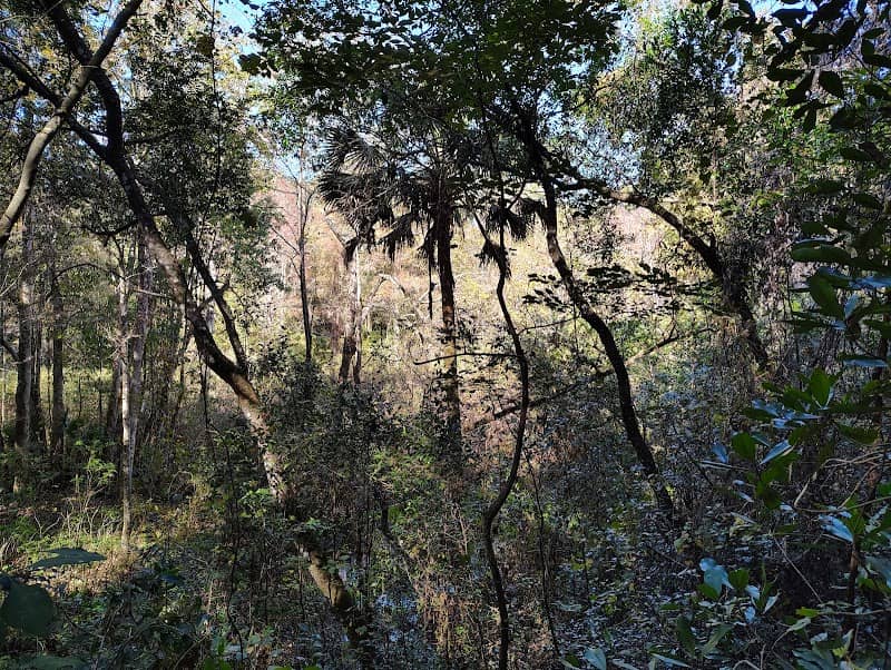Horseshoe Point Conservation Area - Image 2
