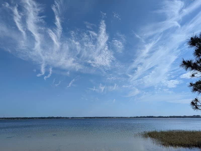 Camp Blanding Wildlife Management Area - Image 1