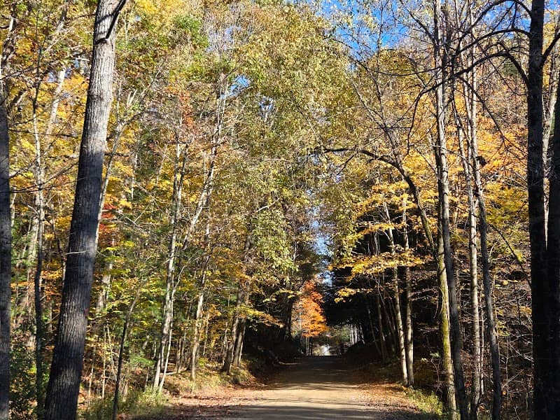 Murphy Lake State Game Area - Image 1