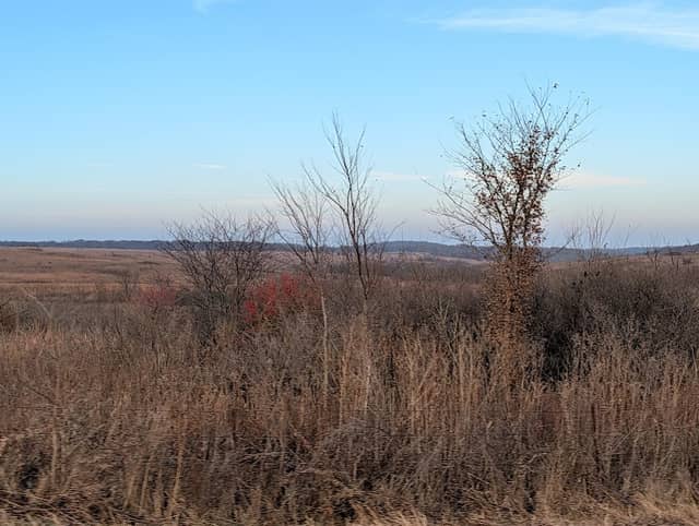 Wah-kon-tah Prairie - Image 3