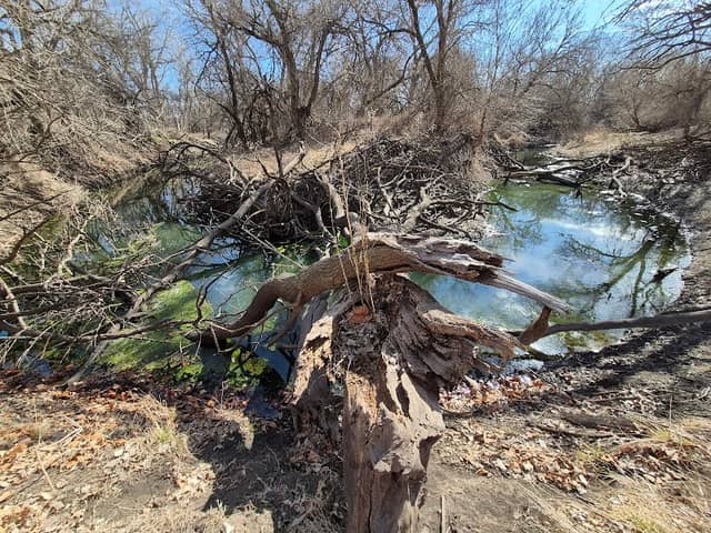 Wayside Park - Image 1