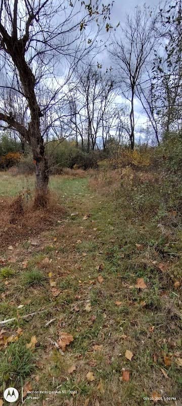 South Branch Reservation - Image 1